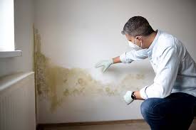 Professional Mold Remediation in Watertown Town, MA